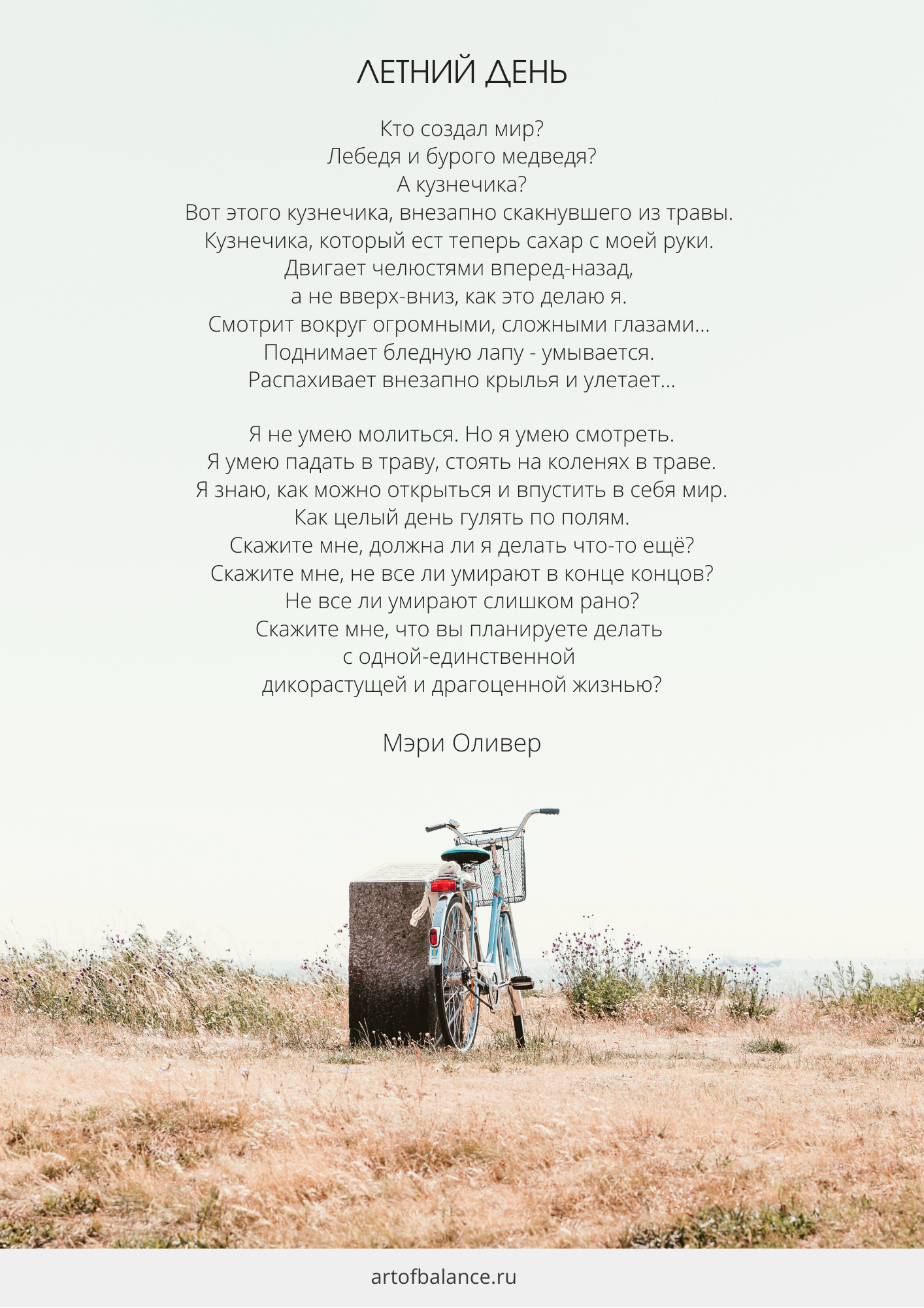 летний день мэри оливер